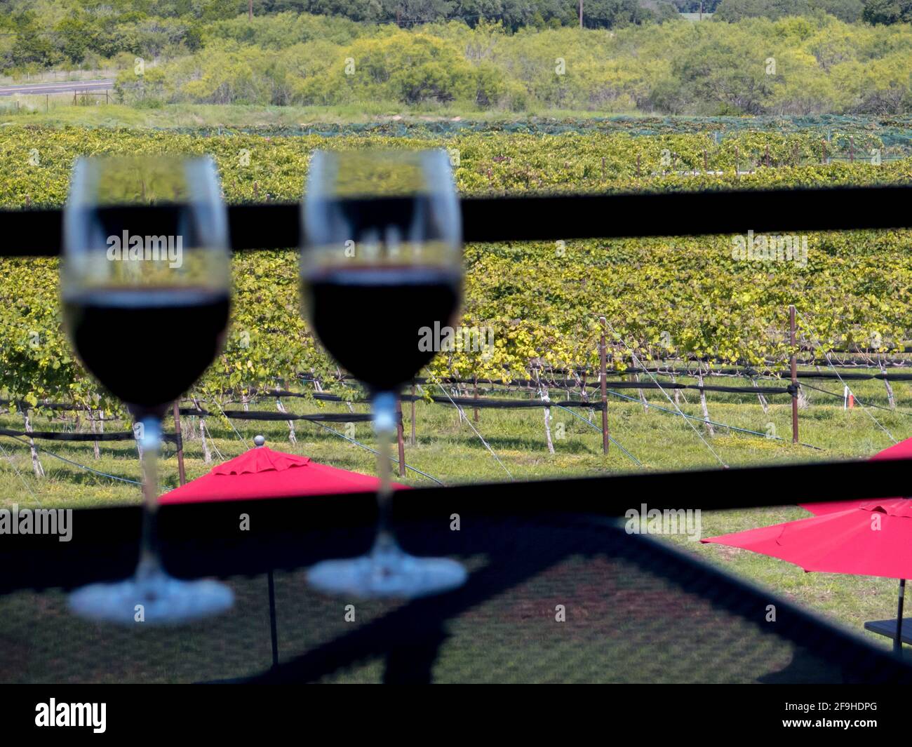 Two wine glasses with view of grape vineyard in distance Stock Photo