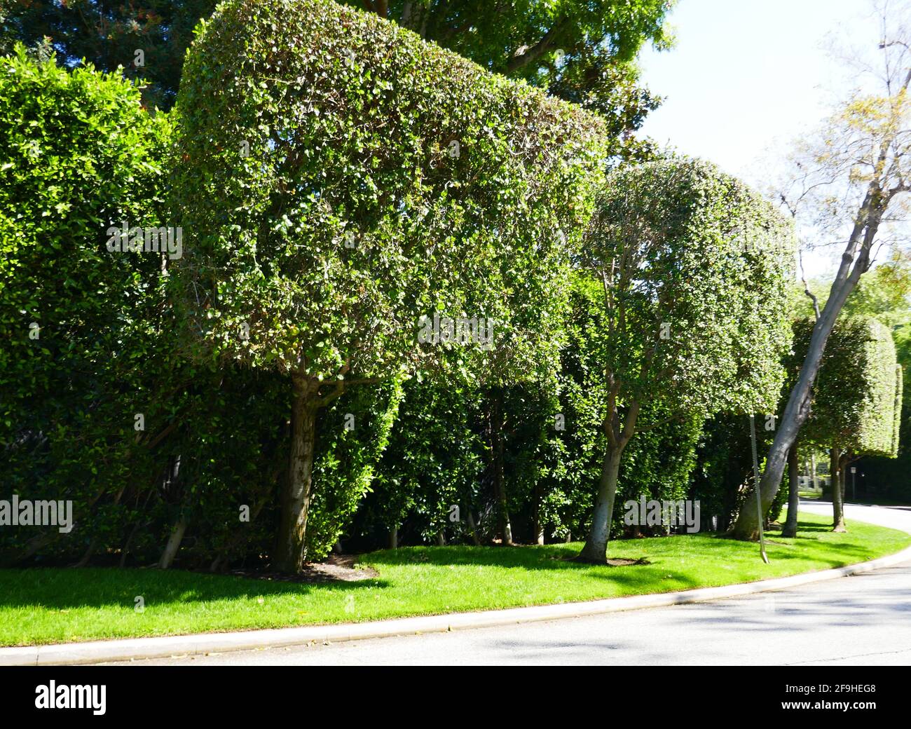 Los Angeles, California, USA 17th April 2021 A general view of