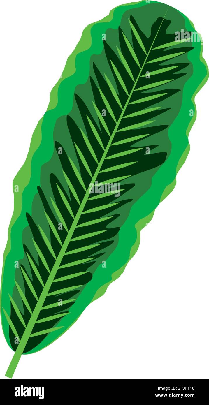 palm tropical leaf Stock Vector Image & Art - Alamy