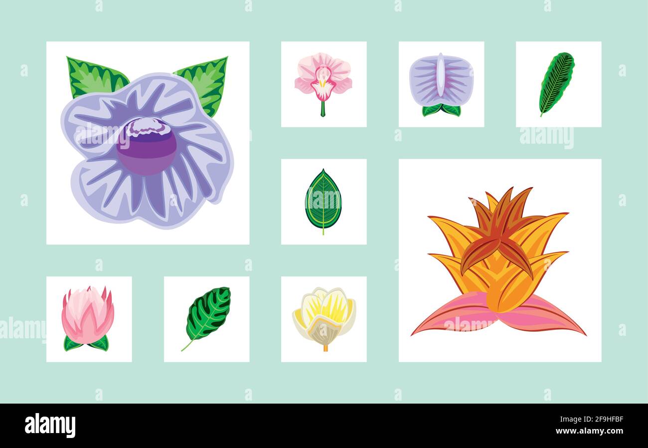 tropical flowers leaves Stock Vector Image & Art - Alamy