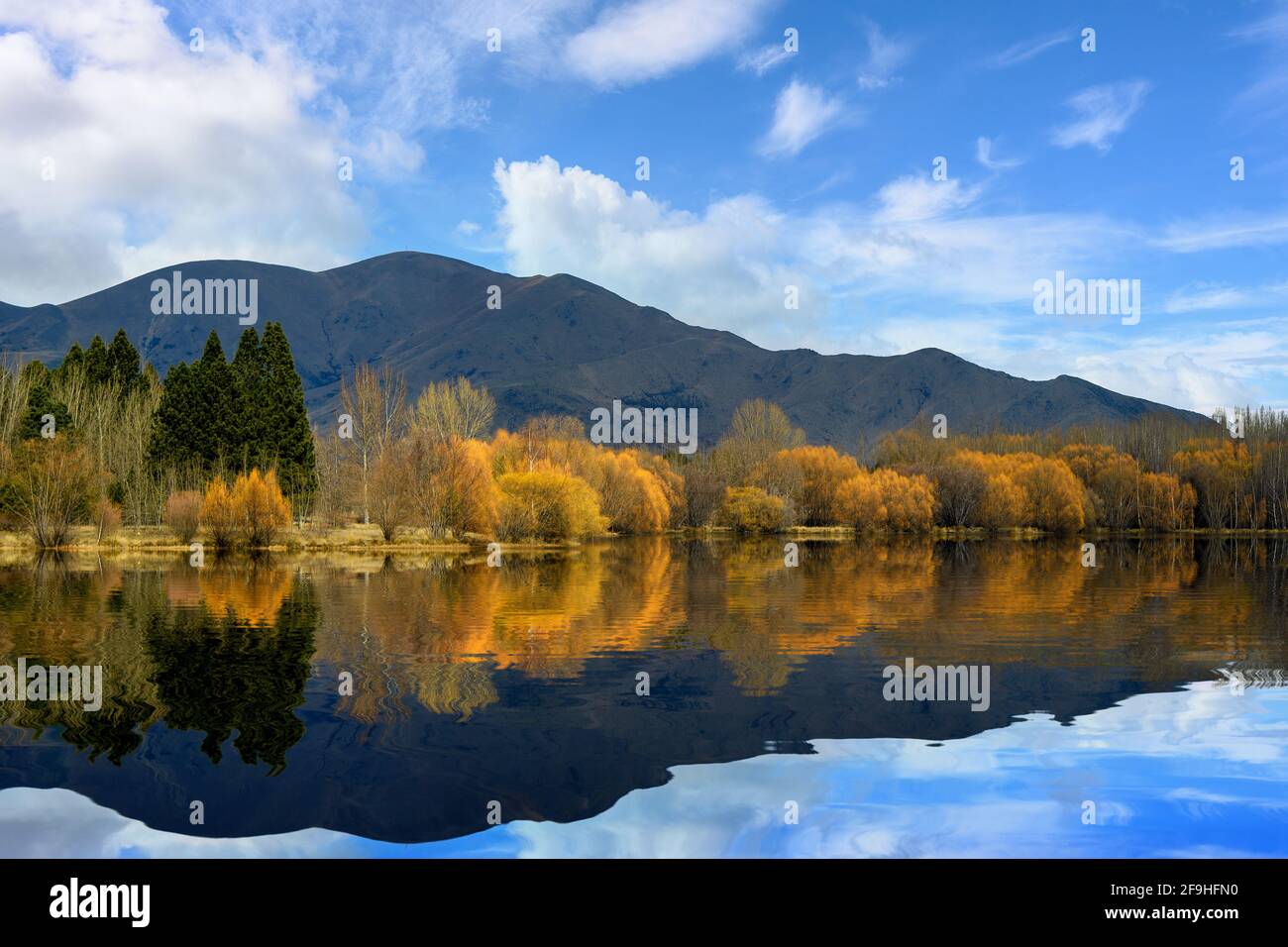 Yellow and orange forests in autumn reflect in still mirrored water, beautiful mountains and cloudy sky in rural New Zealand South Island, calm and re Stock Photo