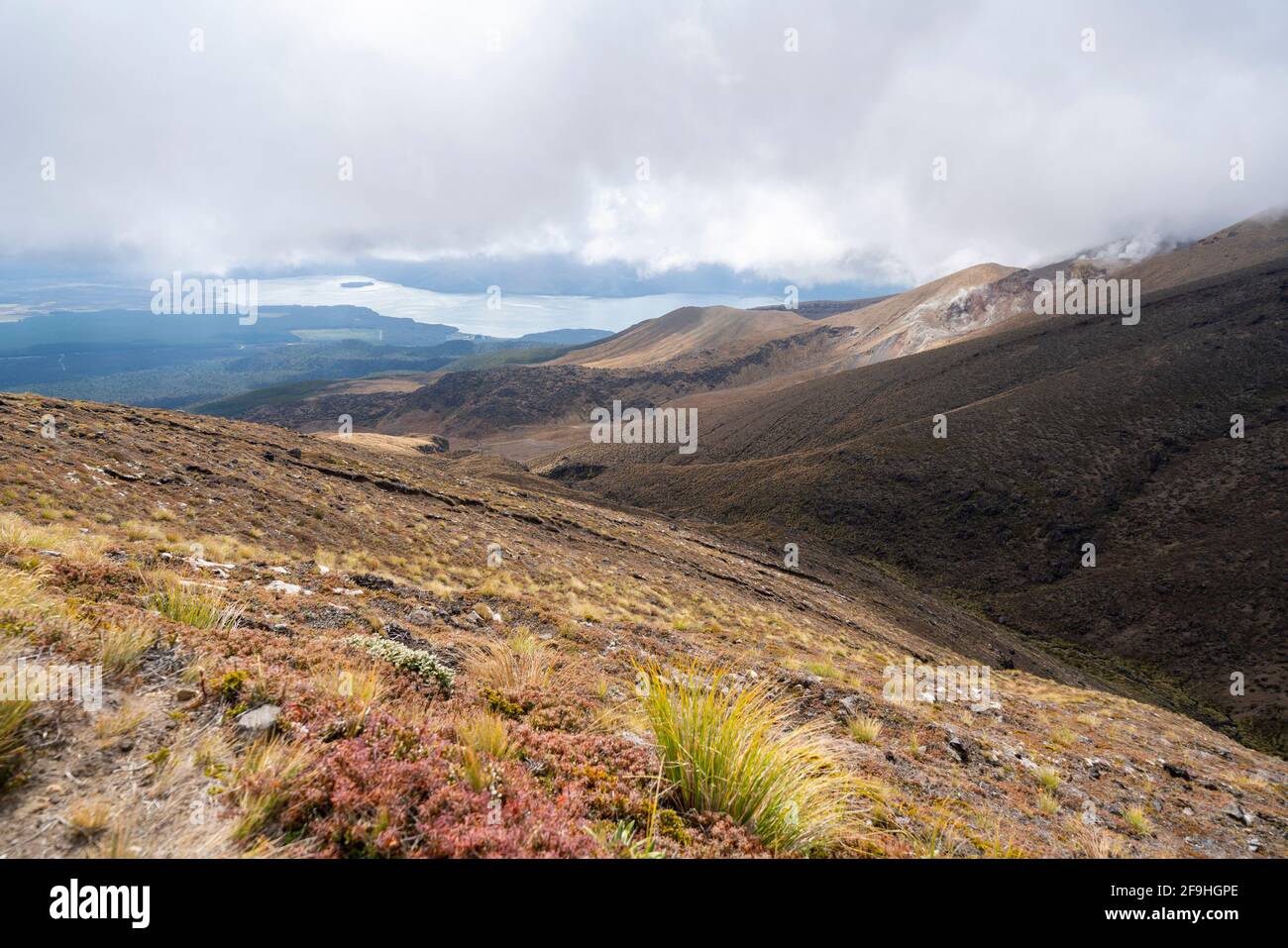 Valley view between mountains with lake in distance on overcast day in Tongariro National Park, New Zealand. Stock Photo