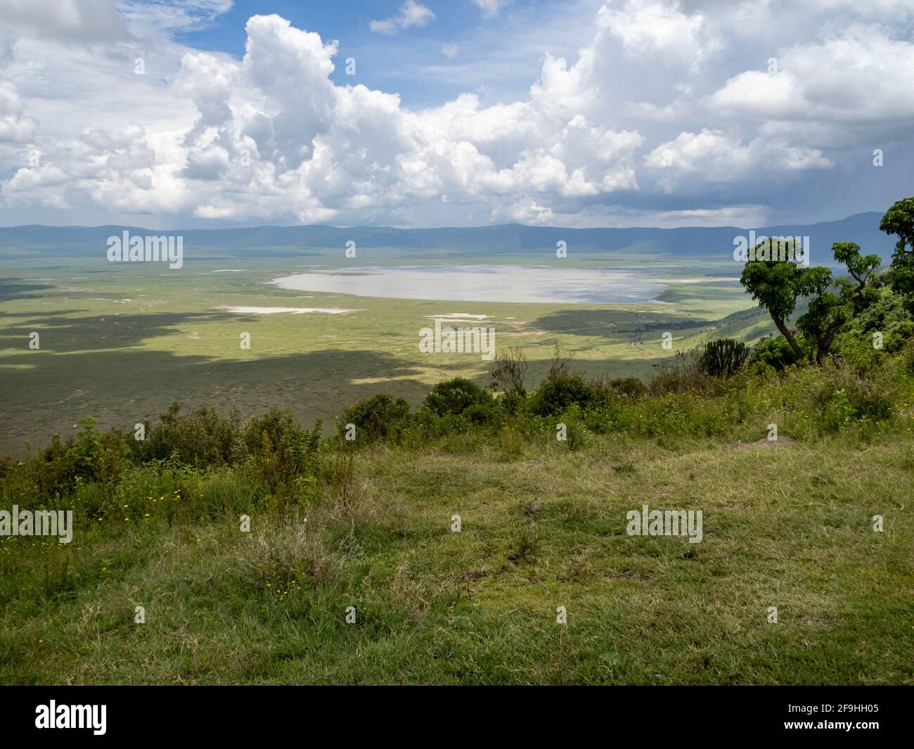 Ngorongoro Crater, Tanzania, Africa - March 1, 2020: Scenic view of Ngorongoro Crater from above Stock Photo