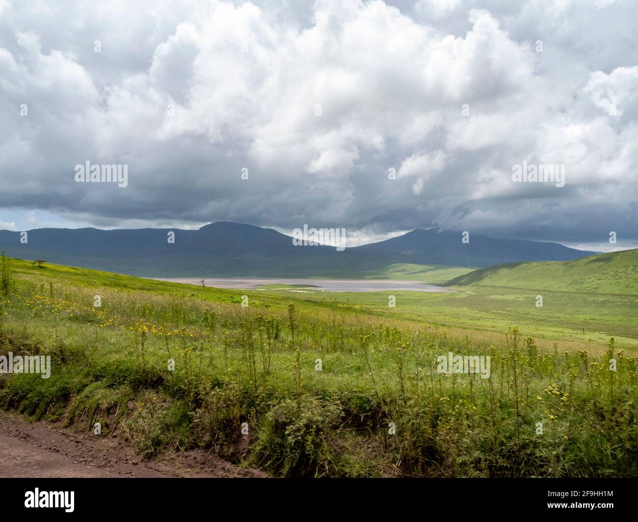 Ngorongoro Crater, Tanzania, Africa - March 1, 2020: Scenic view of Ngorongoro Crater from above Stock Photo