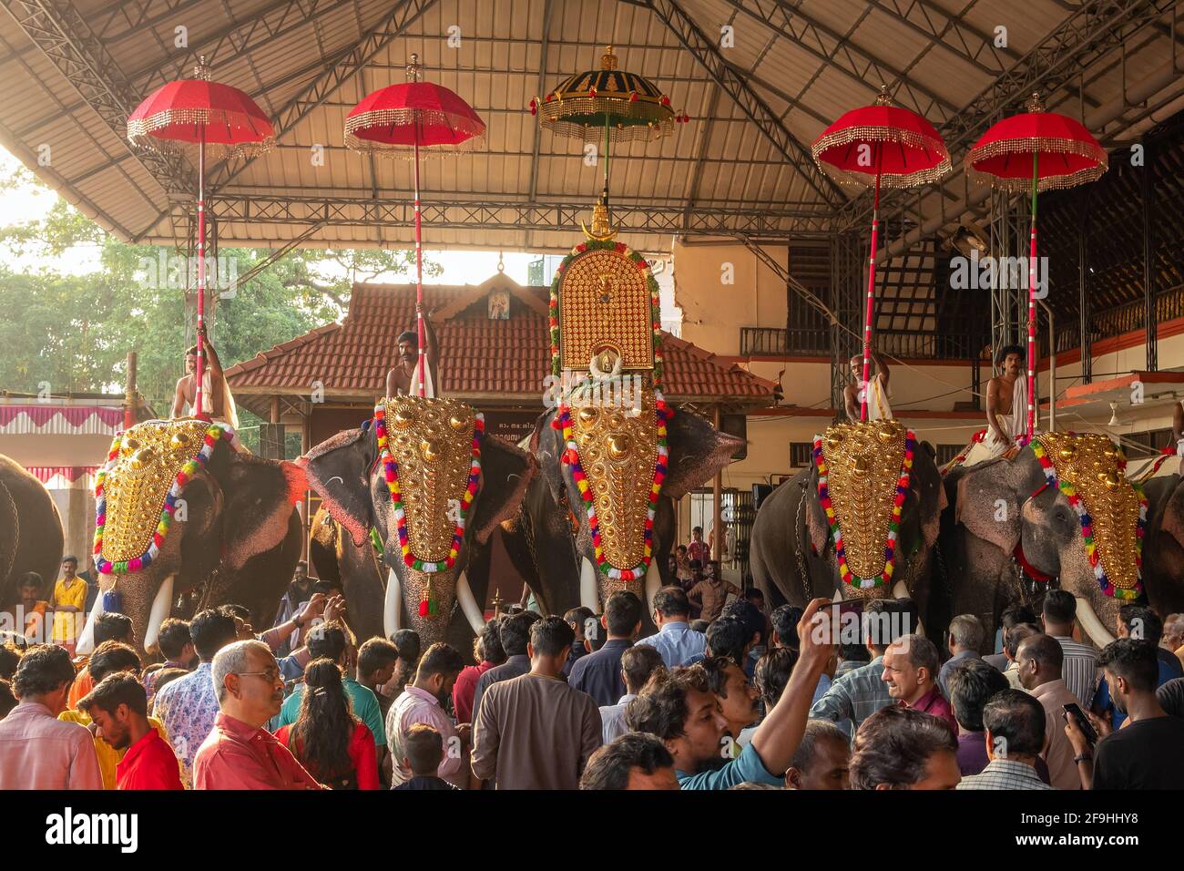 Decorated elephants at temple festival in Siva temple, Ernakulam, Kerala, India Stock Photo