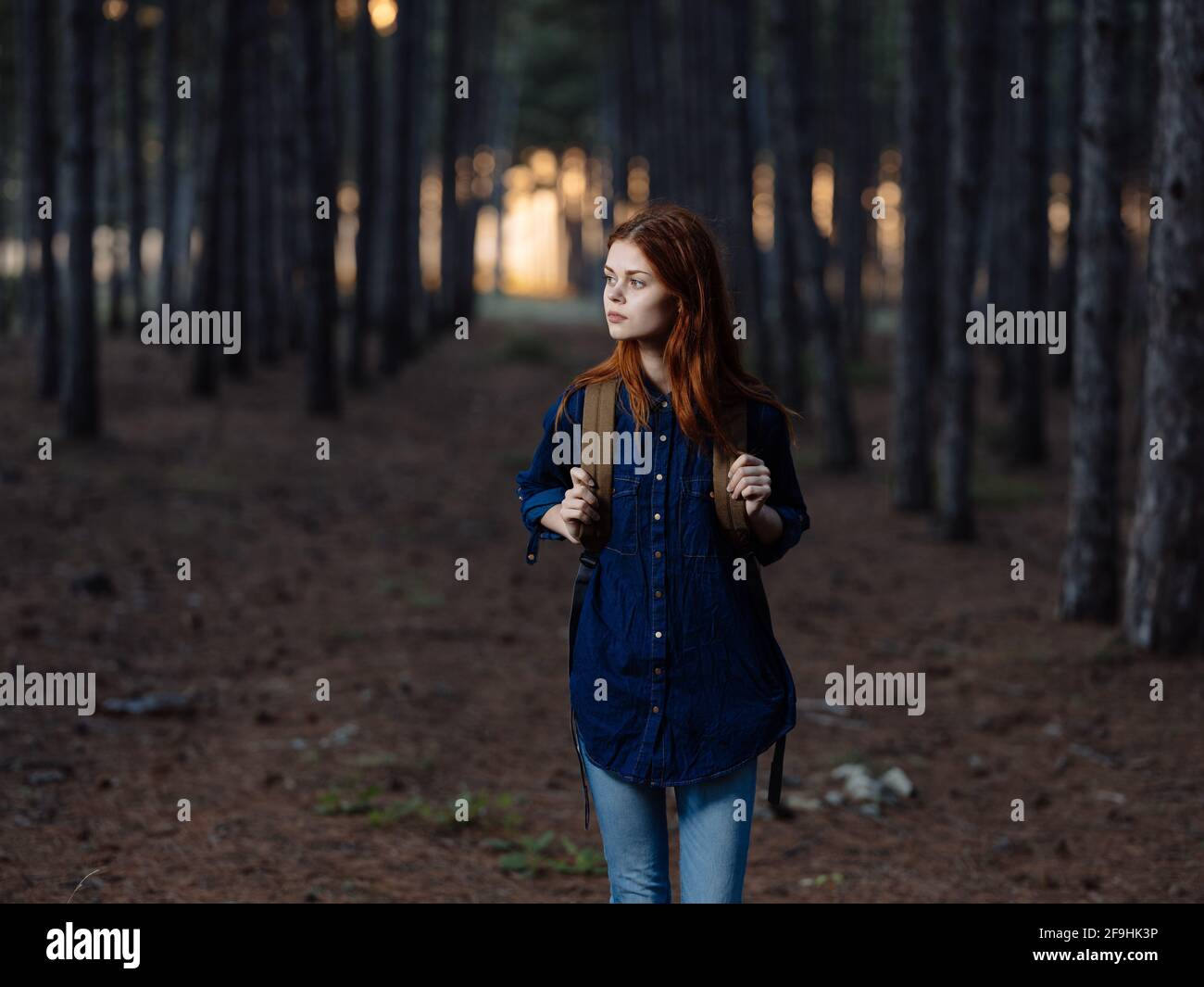 Woman hiker walk in the forest near pine trees in nature Stock Photo ...