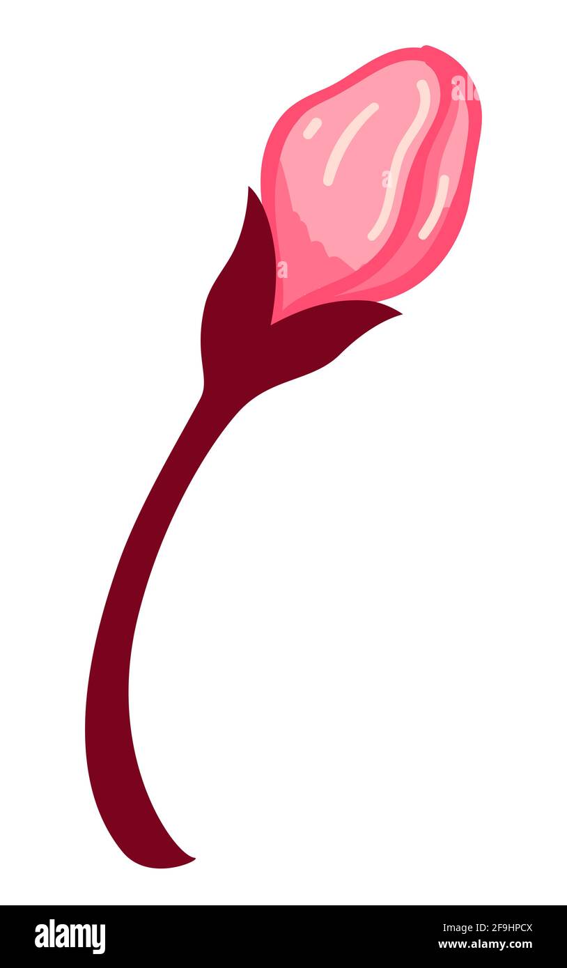 Sakura blooming, cherry tree blossom in spring Stock Vector