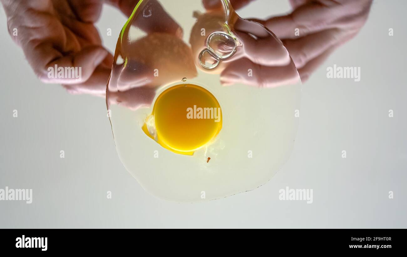 Cracking chicken egg on transparent surface. Stock Photo