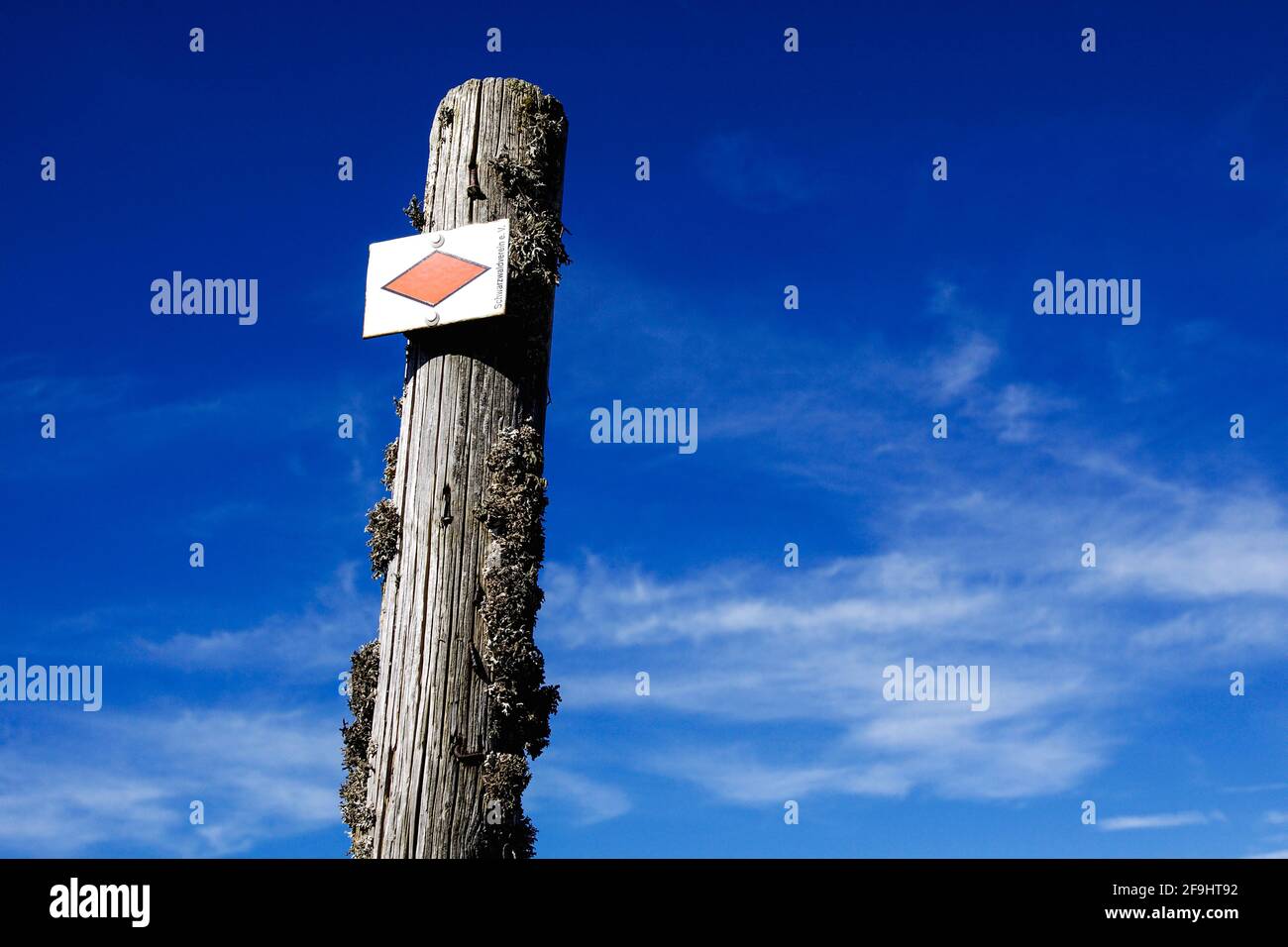 Hiking signs from western route Basel-Pforzheim on a weathered wooden post in the Black Forest, Germany, Europe Stock Photo