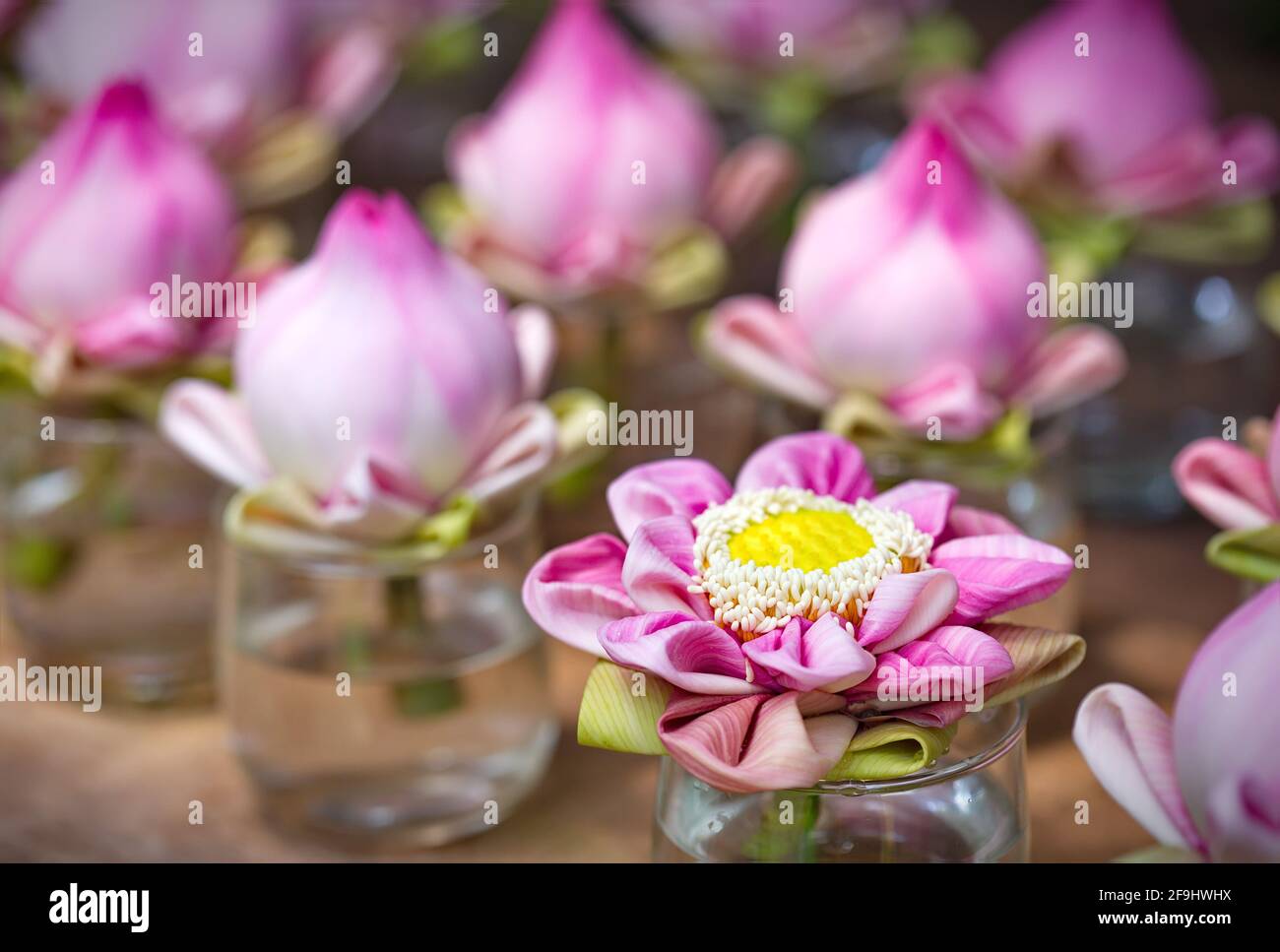 Folded petals of lotus flowers in Thai style Stock Photo Alamy