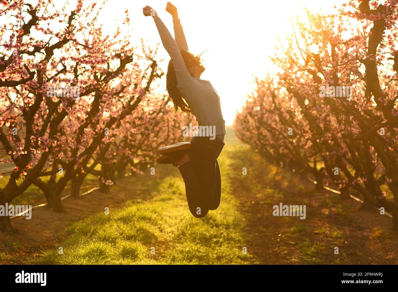 Profile of an excited woman jumping happy in a field at sunrise Stock Photo