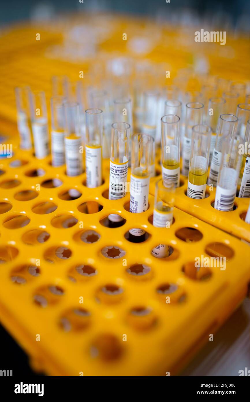 medical laboratory test tubes in an orange stand Stock Photo Alamy