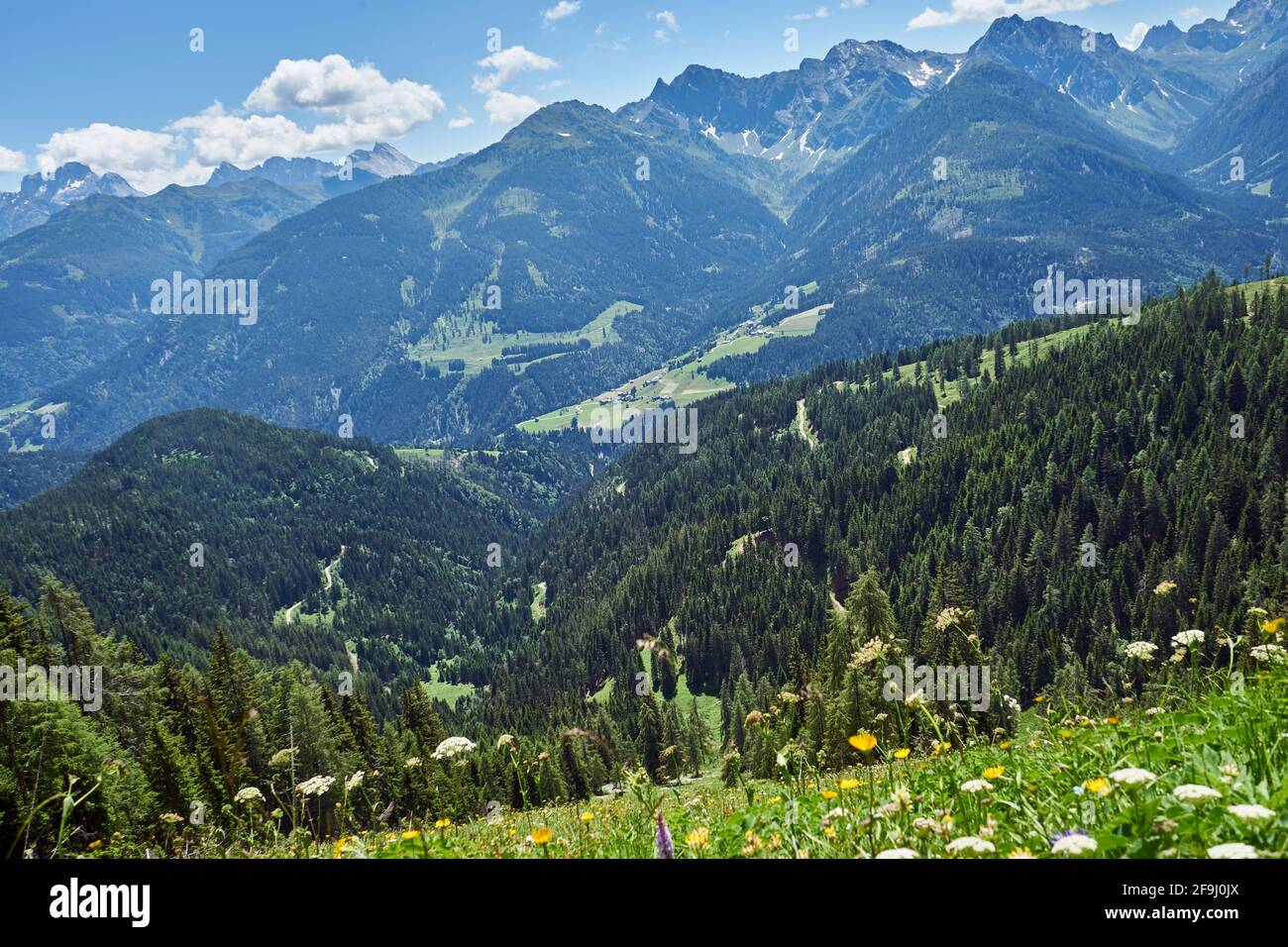 Blumenreiche Bergwiesen am Gailtaler Höhenweg, Gailtaler Alpen, Lesachtal, hinten die Karnischen Alpen, Alpen, Kärnten, Österreich Stock Photo