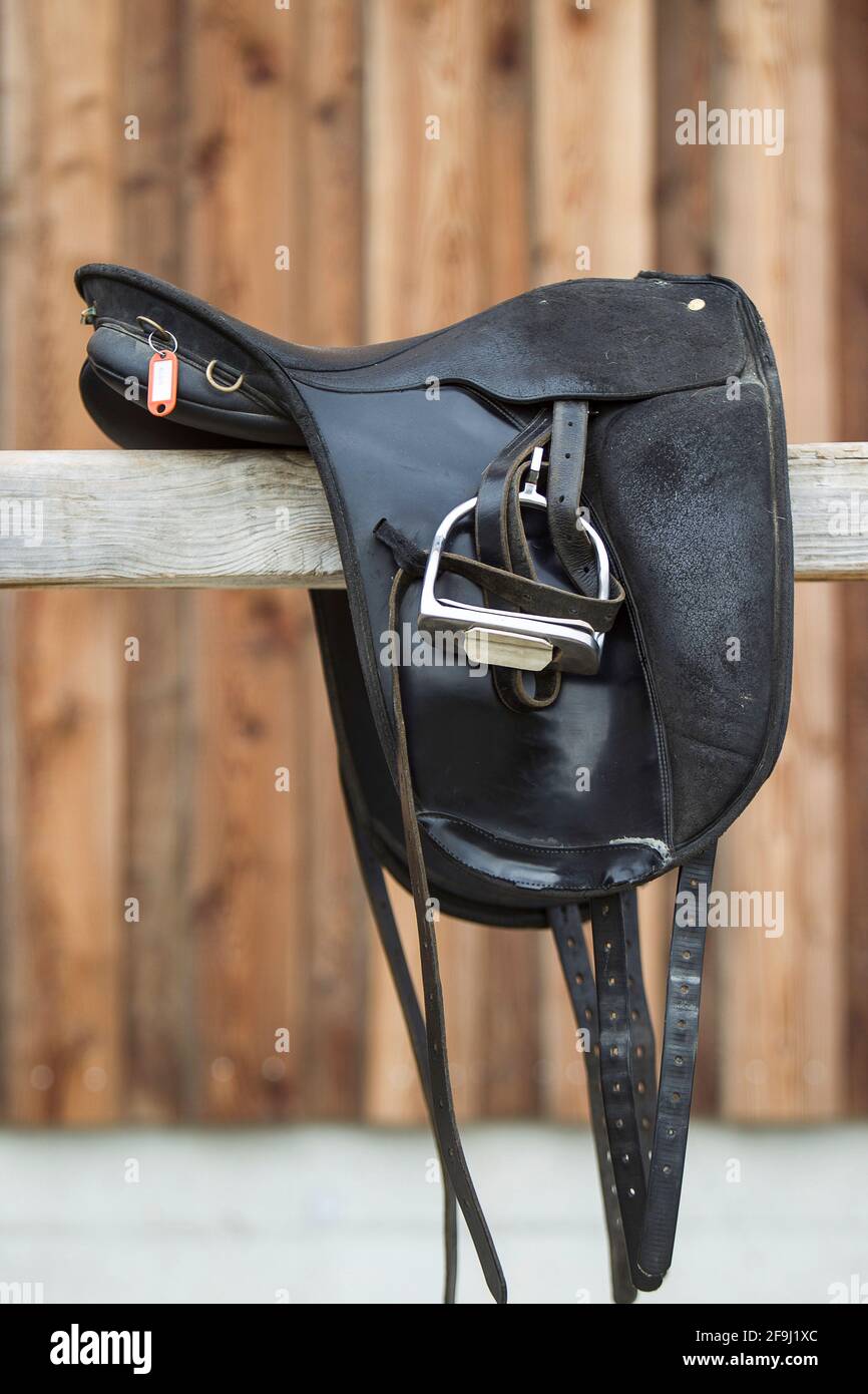 Special saddle for gaited horses., toelt saddle Stock Photo Alamy
