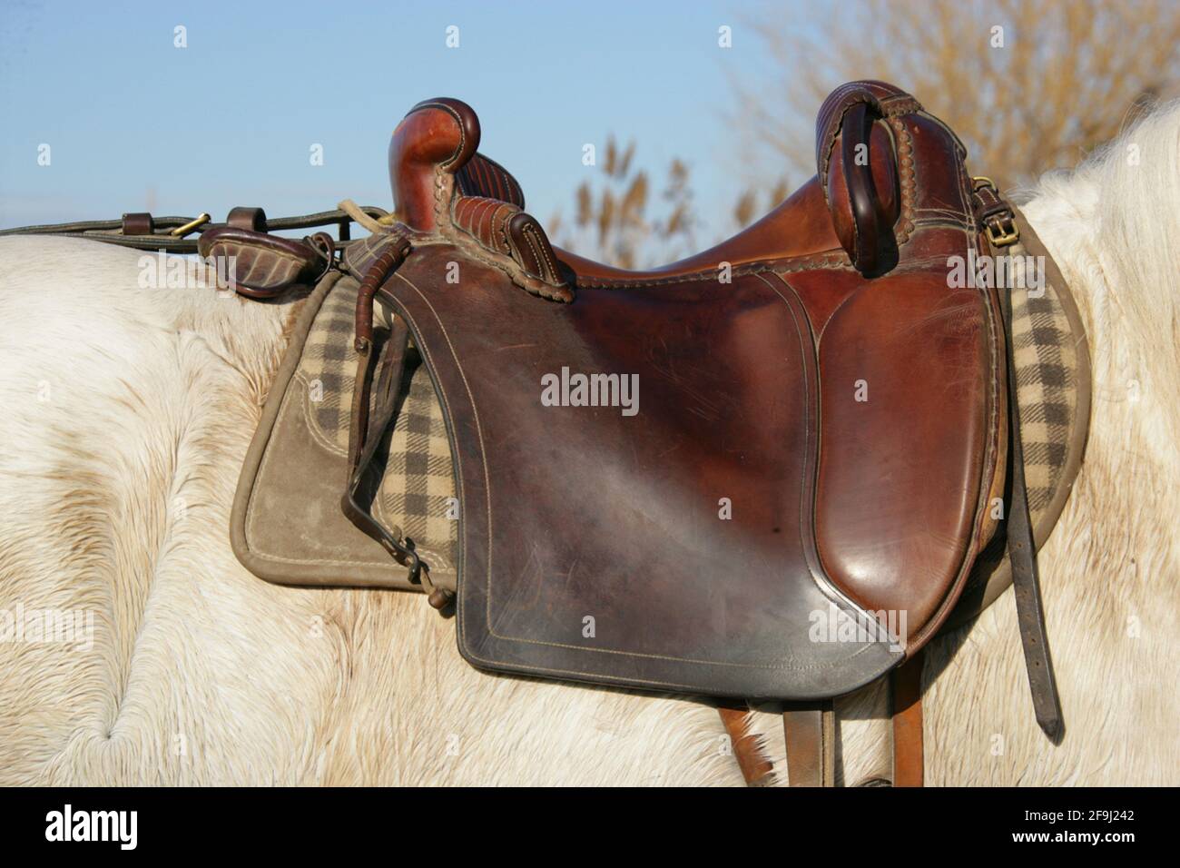 Traditional saddle, Camargue-style. France Stock Photo