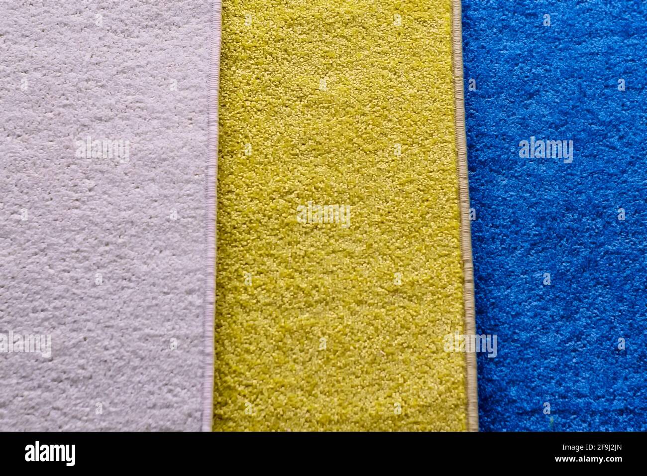 Front view, indoors horizontal shot. Stock Photo