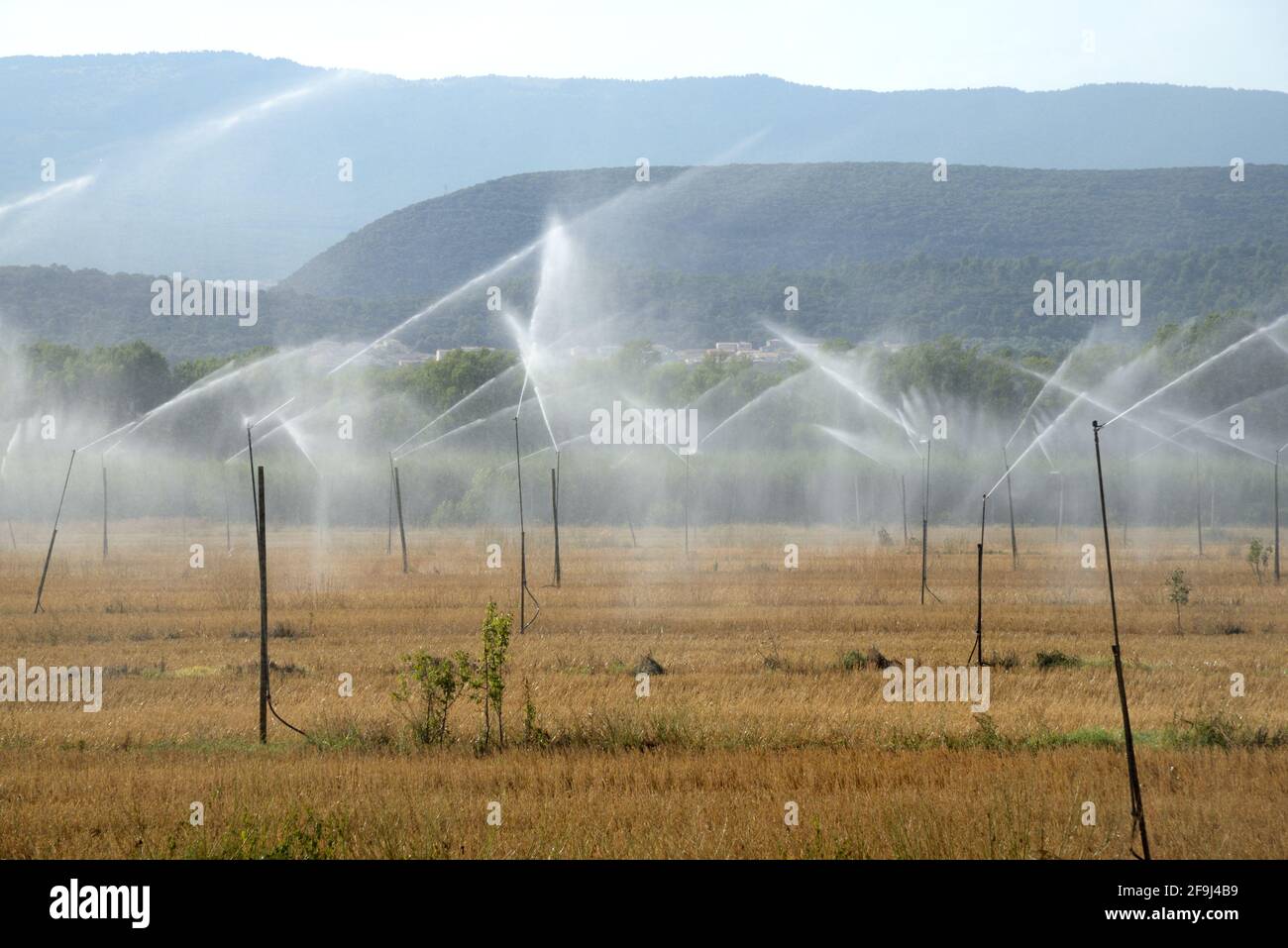Watering System, Water Sprinklers or Irrigation System Durance Valley Alpes-de-Haute-Provence Provence France Stock Photo