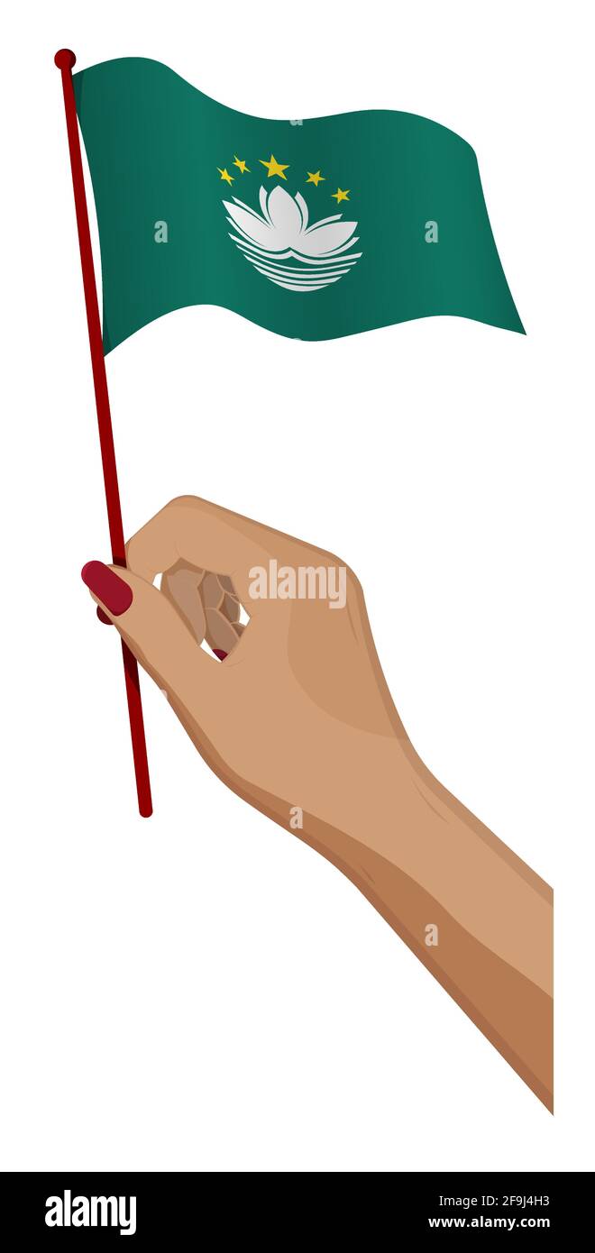 Female hand gently holds small Macau flag. Holiday design element. Cartoon vector on white background Stock Vector