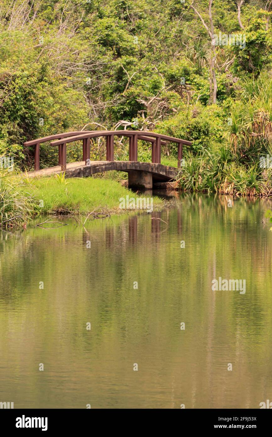 A small bridge in the woods Stock Photo - Alamy