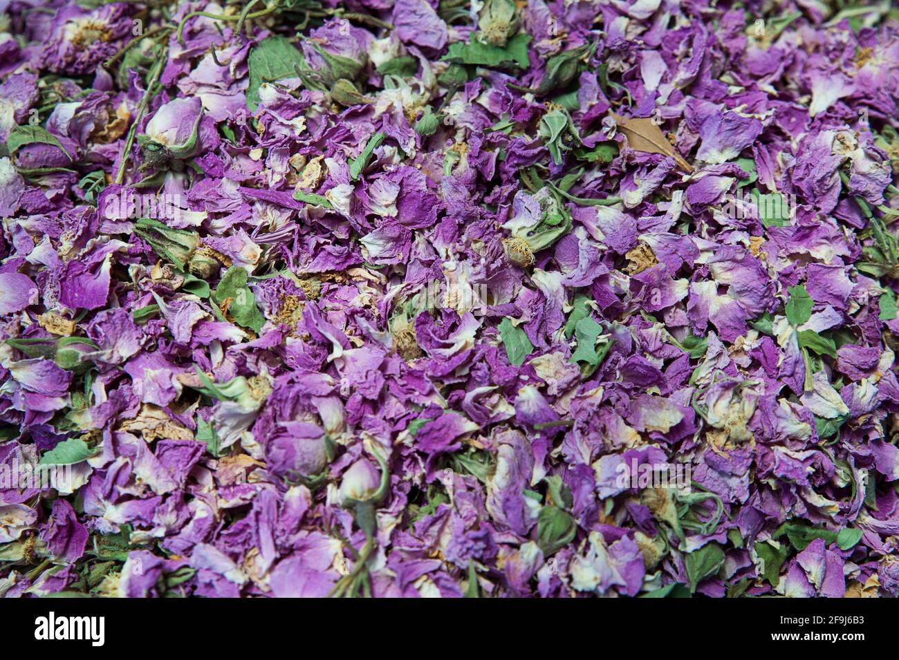 Herbalist africa hires stock photography and images Alamy