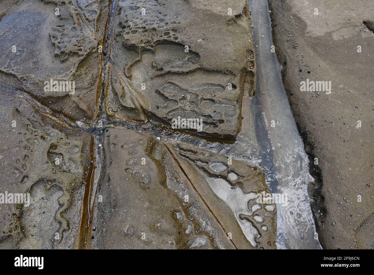 Overhead shot of a flat rock surface with water filling its cracks and ...