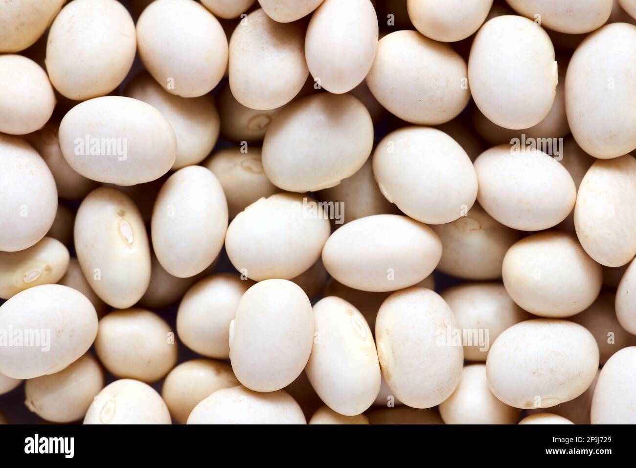 White bean butter bean lima pile vegetable texture background macro
