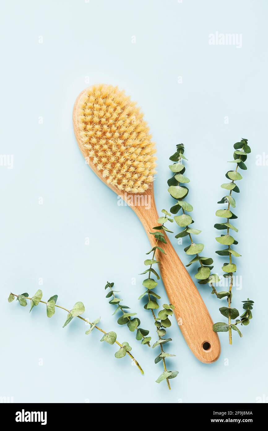 SPA treatment concept. Brush for dry anti-cellulite massage and eucalyptus branches on a blue background. Top view, copy space for text Stock Photo