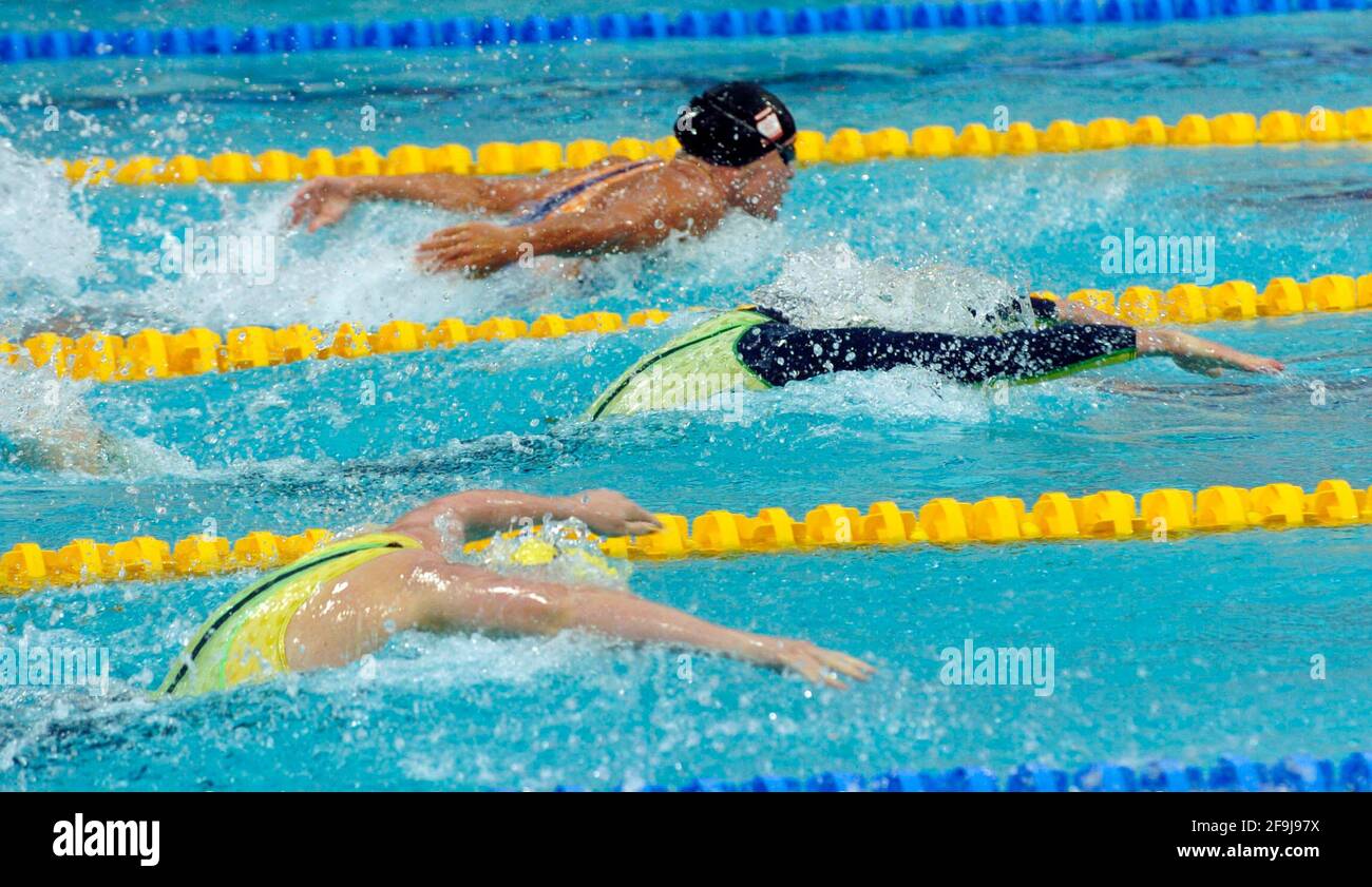 100m butterfly hires stock photography and images Alamy