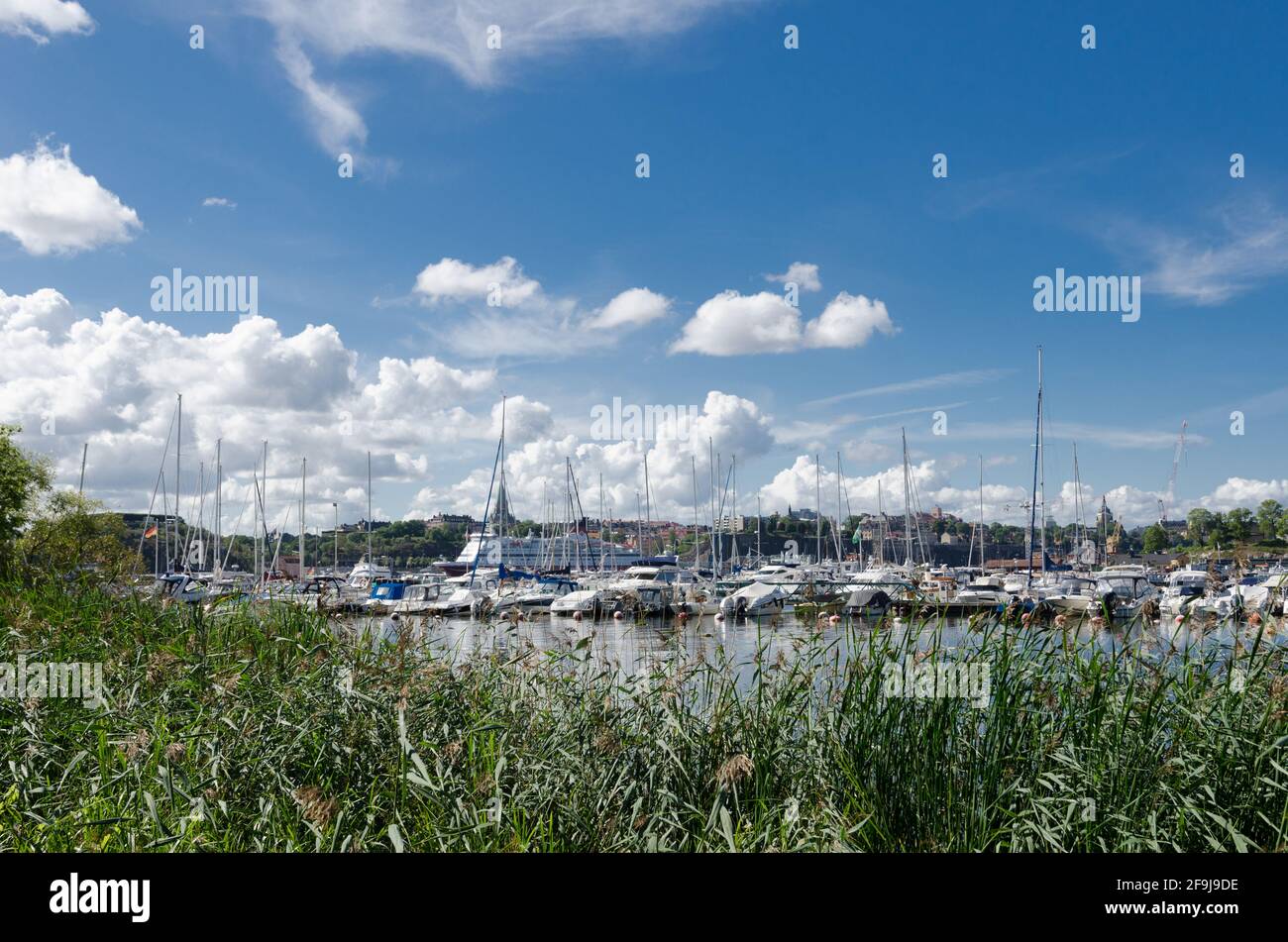Green grass and yachts in harbor Djurgarden, Stockholm, Sweden Stock Photo