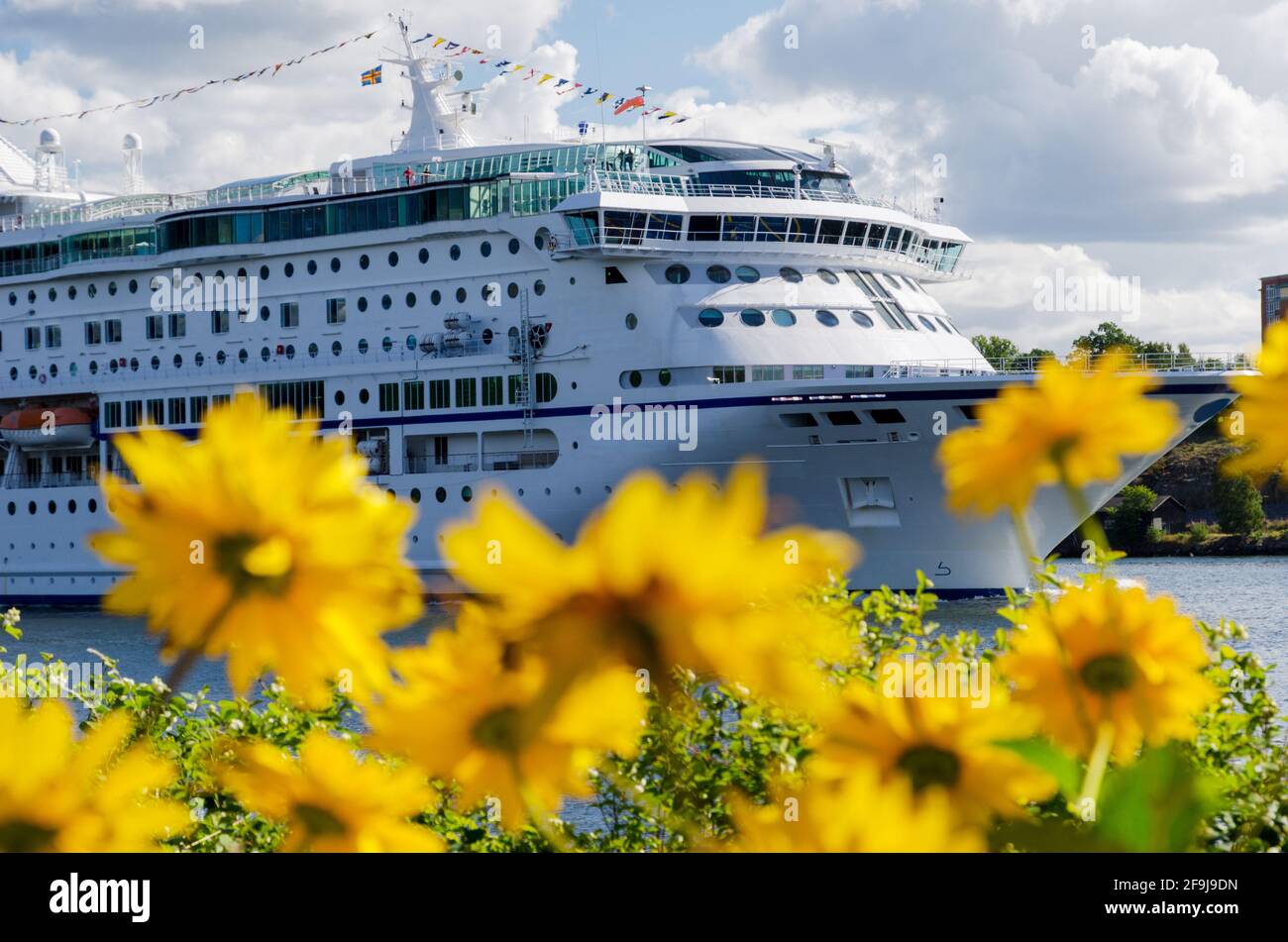 Yellow flowers and big passenger liner ship in harbor Djurgarden, Stockholm, Sweden Stock Photo