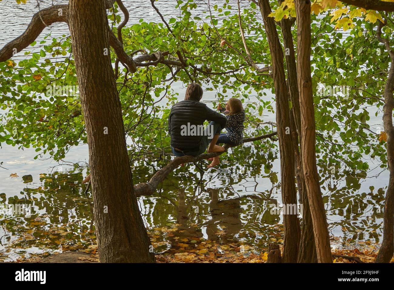 Vater mit Tochter am Schlachtensee, Bäume mit Herbstlaub, Steglitz-Zehlendorf, Berlin, Deutschland Stock Photo
