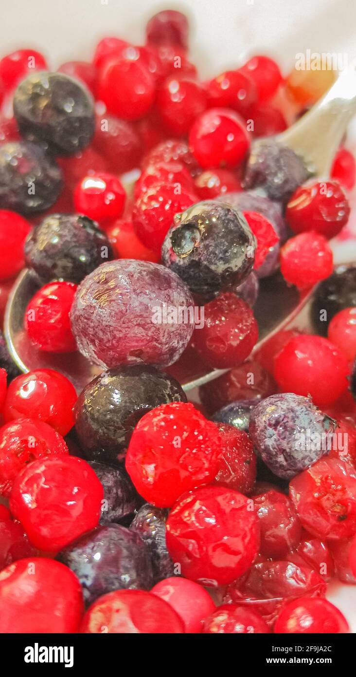 Frozen lingonberries and blueberries closeup Stock Photo