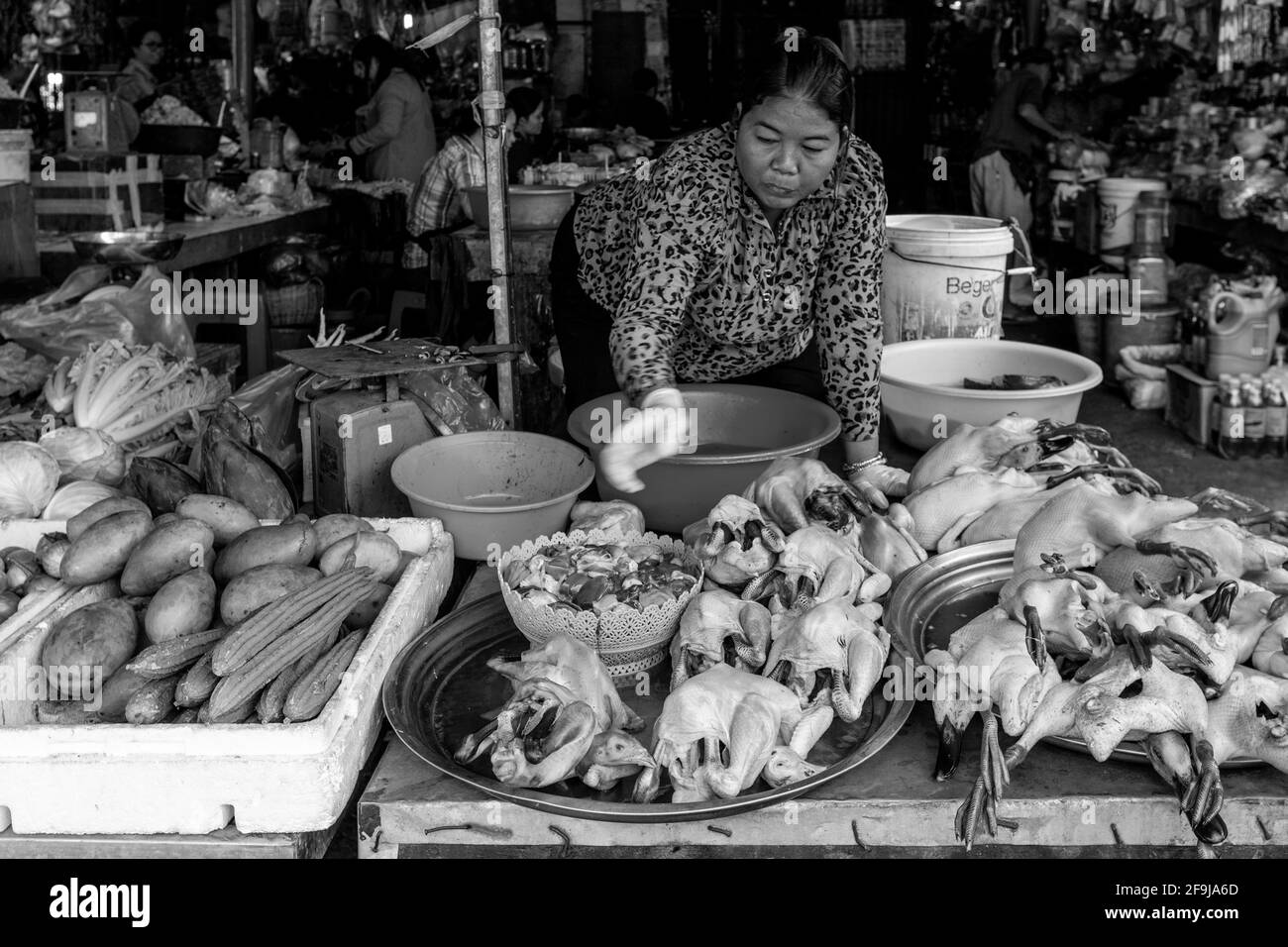 Fresh Chicken and Ducks For Sale At Psar Nath Market (Central Market}, Battambang, Cambodia. Stock Photo