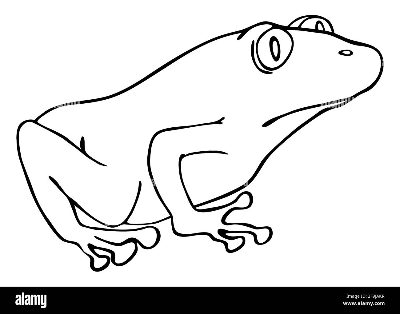 Cartoon illustration of the green frog Stock Photo