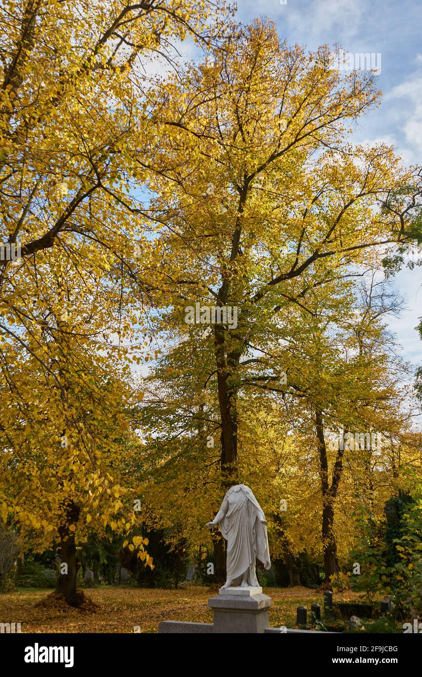 Grabmal mit beschädigter Statue einer Frau, Frau ohne Kopf, Bäume im Herbstlaub, Luisenstädtischer Friedhof, Kreuzberg, Berlin, Deutschland Stock Photo