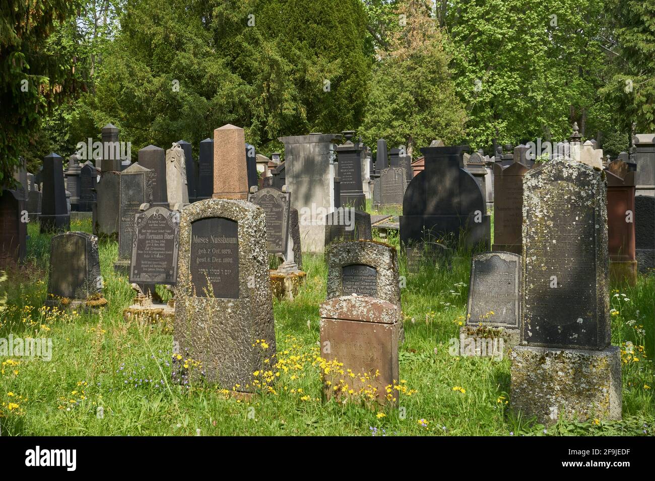 Grabmale, Alter jüdischer Friedhof Rat-Beil-Straße, am Hauptfriedhof, Frankfurt am Main, Hessen, Deutschland Stock Photo