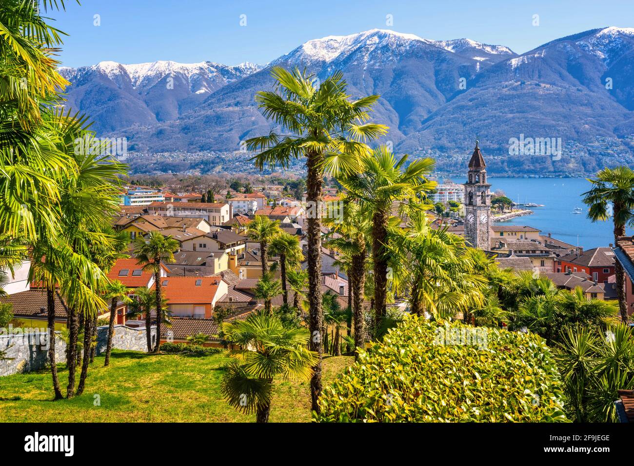 Palm trees and snow peaks of the Alps mountains in Ascona town on lake Lago Maggiore, Locarno, Switzerland Stock Photo