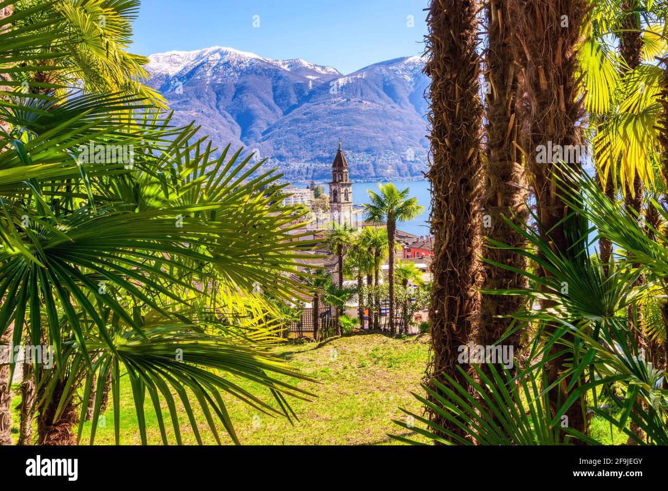 Palm trees and snow peaks of the Alps mountains in Ascona town on lake Lago Maggiore, Locarno, Switzerland Stock Photo