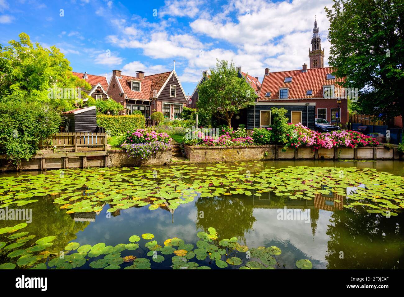 Edam town in North Holland, Netherlands, famous for its Edam cheese, view of traditional stone houses on a river covered with water lilies Stock Photo