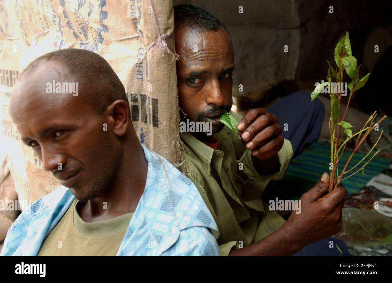SOME MEN SPEND MUCH OF THE AFTERNOON  CHEWING KHAT  IN THE MARKET PLACE IN HARGEISA,THE CAPITAL OF SOMALILAND.30/6/05. TOM PILSTON Stock Photo