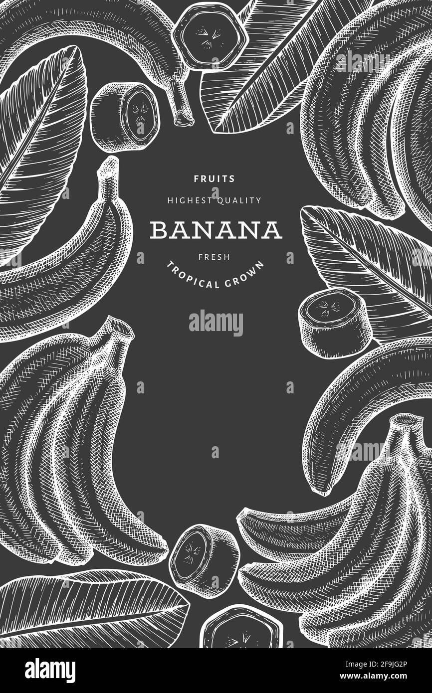 Hand drawn sketch style banana banner. Organic fresh fruit vector
