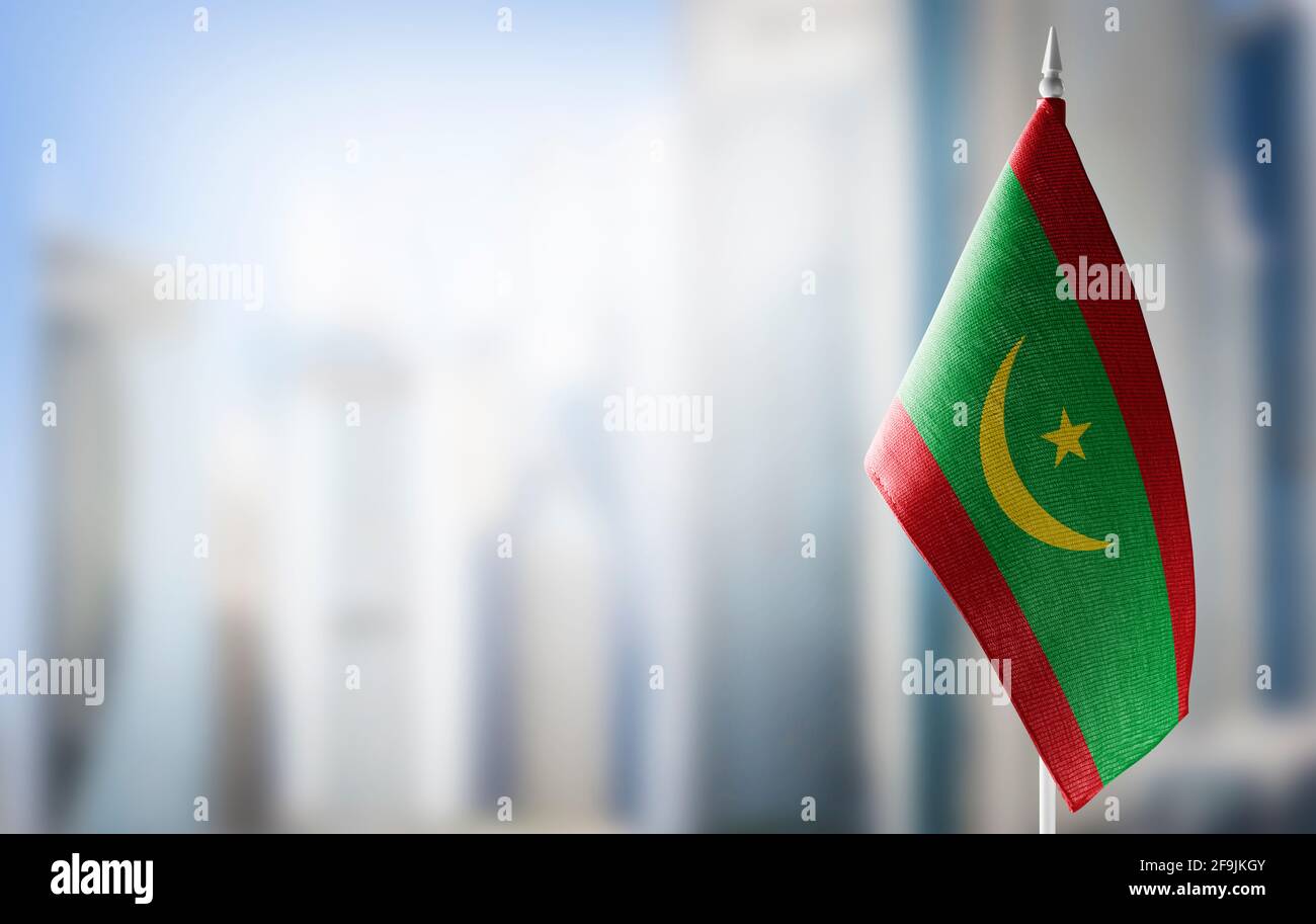 A small flag of Mauritania on the background of a blurred background ...