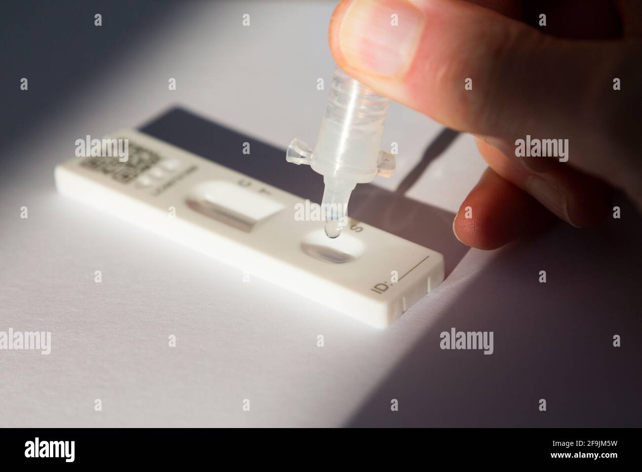 A hand dripping a sample and test solution onto lateral flow test LFT LFD (Chinese made) Lateral Flow Device from the company, Innova: testing for COVID 19 coronavirus antigen testing. (123) Stock Photo