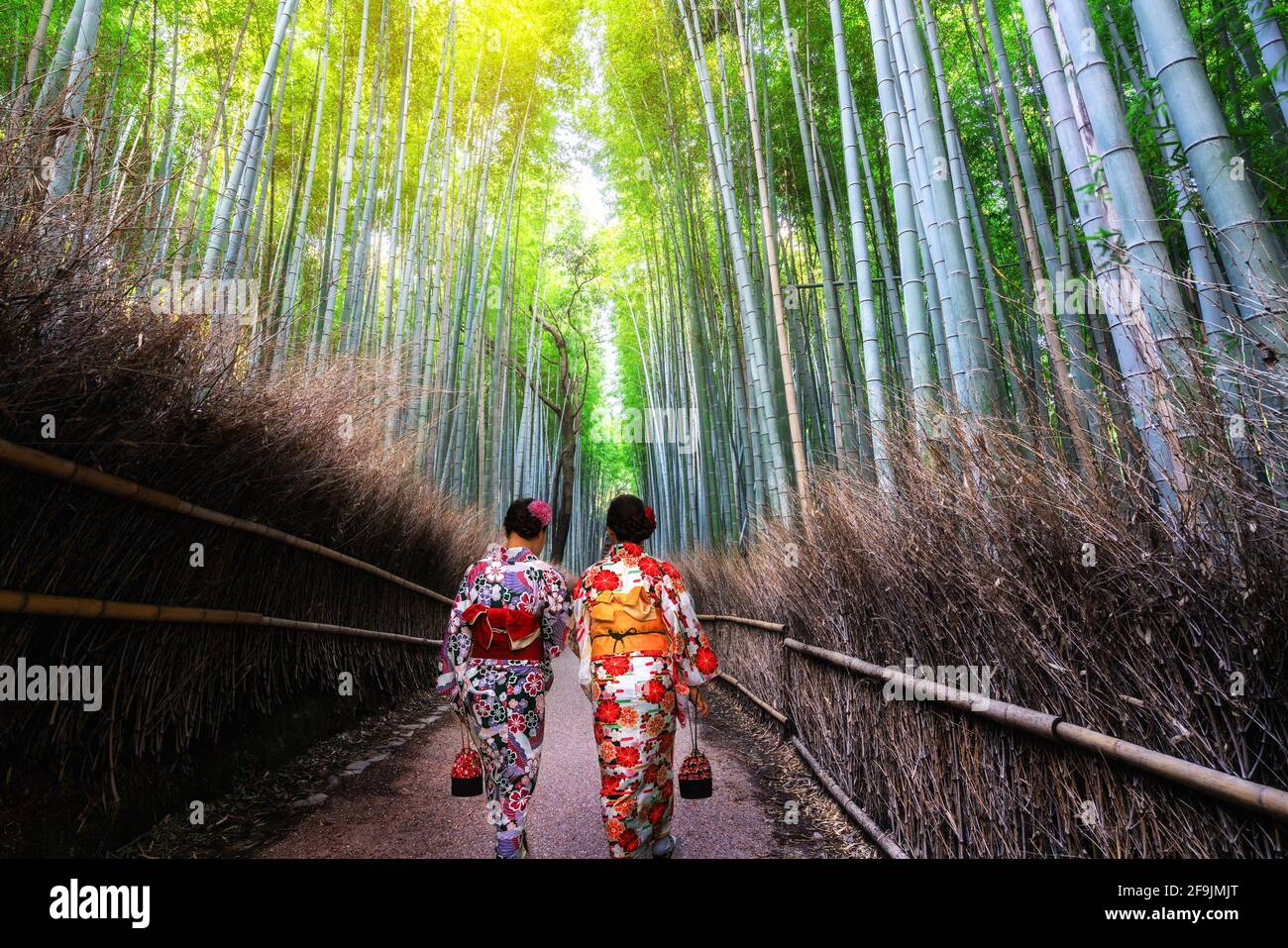 Geisha arashiyama bamboo forest hires stock photography and images Alamy