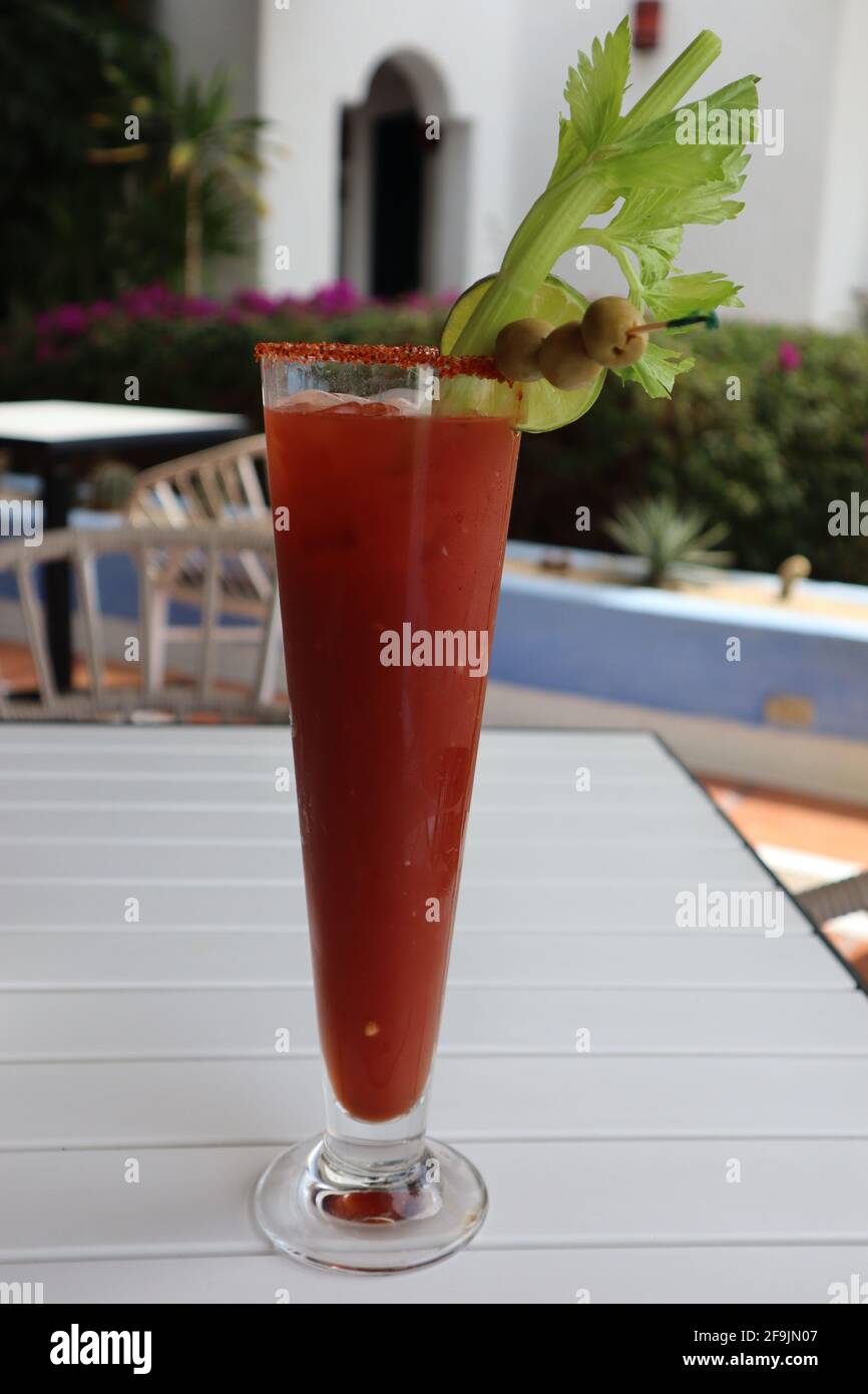 Closeup of a bloody mary cocktail in a tall glass with a seasoned salt