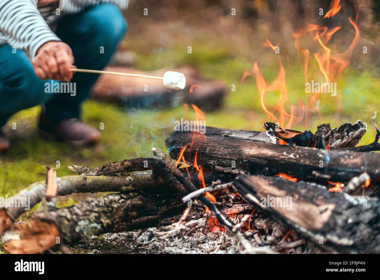 Marshmallow on a stick being roasted over a camping fire Stock Photo