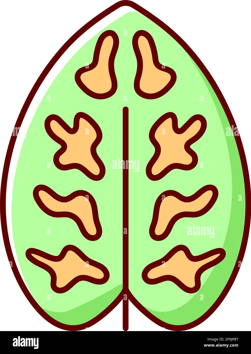 Dieffenbachia RGB color icon Stock Vector