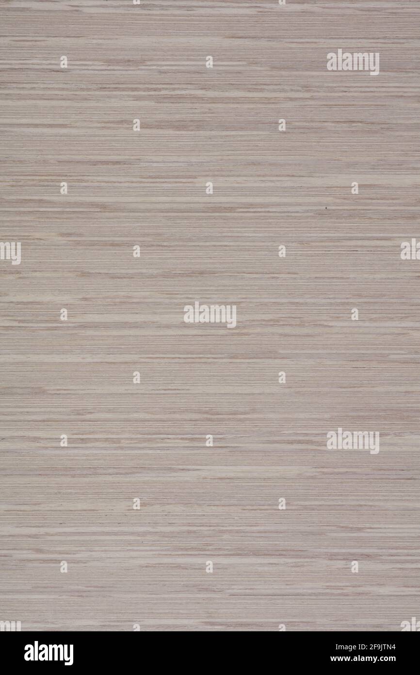 Light Grey Lati veneer background, new texture in beautiful color for your design. Stock Photo