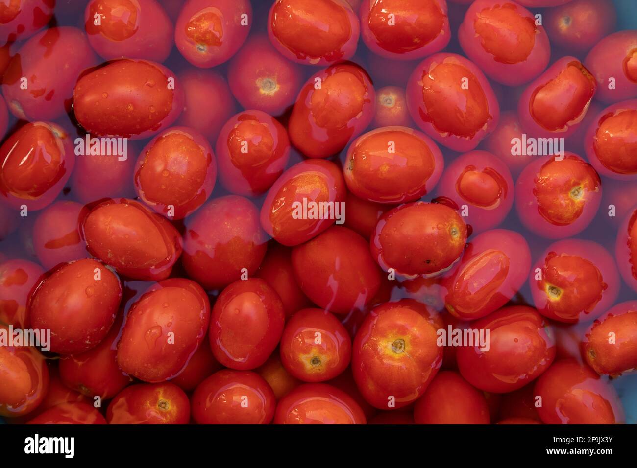 Canned Plum Tomatoes High Resolution Stock Photography And Images Alamy