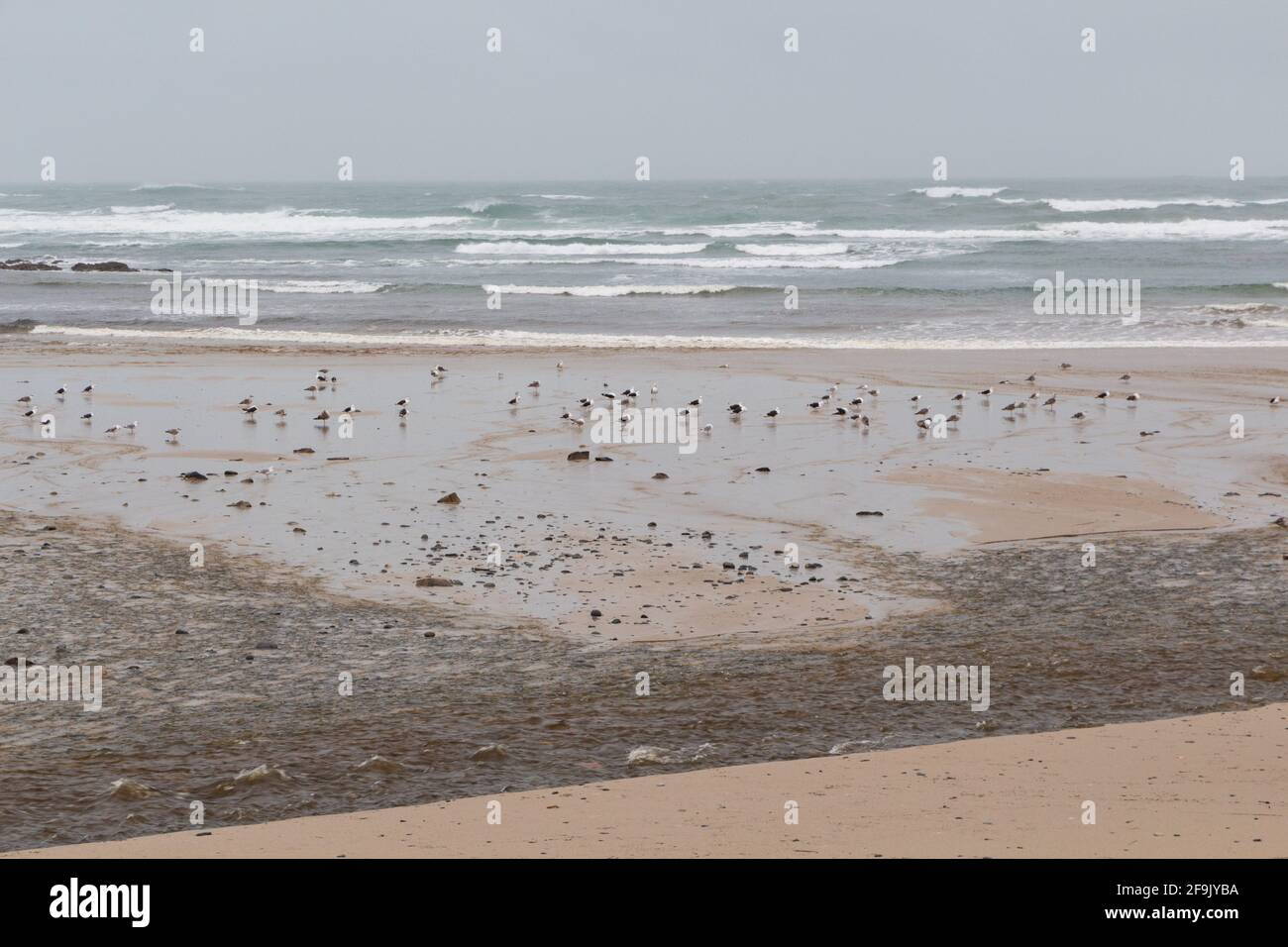 Beach in Brittany during a storm in winter Stock Photo - Alamy